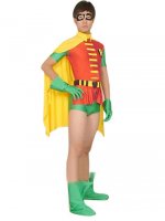 Cheap Robin Lycra Super Hero Costume