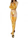 Cheap Gold Shiny Metallic Sexy Costume - Click Image to Close