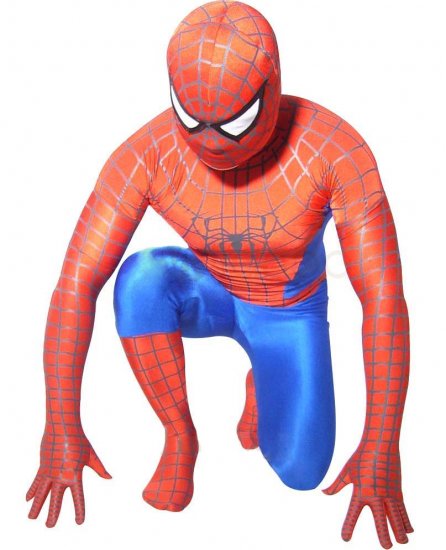 Cheap Spidrerman Costume Suit Outfit Zentai with Gray Stripes Ty - Click Image to Close